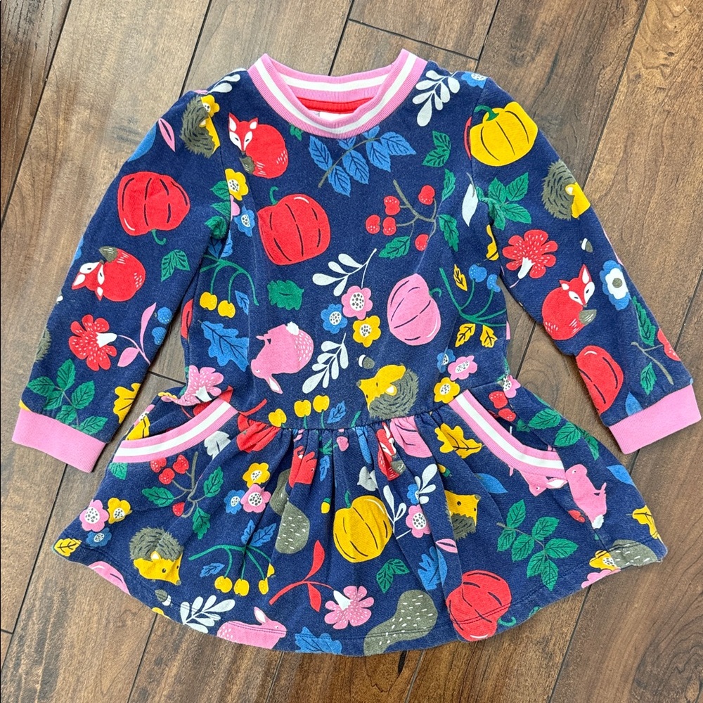 Mini Boden pumpkin fox rabbit hedgehog flower Sweatshirt Dress (4-5Y)